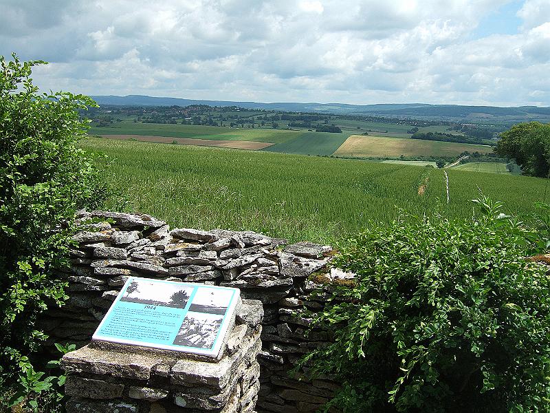 2010-05- (58).JPG